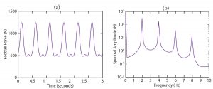 Figure 2. a) Typical footfall force; b) harmonics for someone walking at about 2 steps per second.