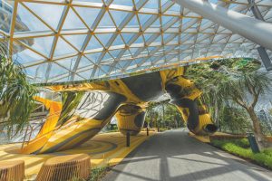 Discovery slides at canopy. Courtesy of Jewel Changi Airport.