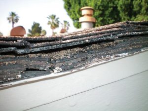 Roofing layers stacked on top of each other, causing structural members to sag under the weight. (photo source: https://bit.ly/3aLYxIc)