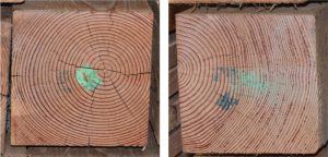Figure 3a. Boxed heart timber with checks radiating from the pith, some that extend to the exposed faces of the timber.