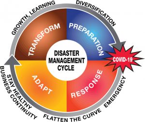 Figure 3. Alternative Disaster Management Cycle post-COVID-19.